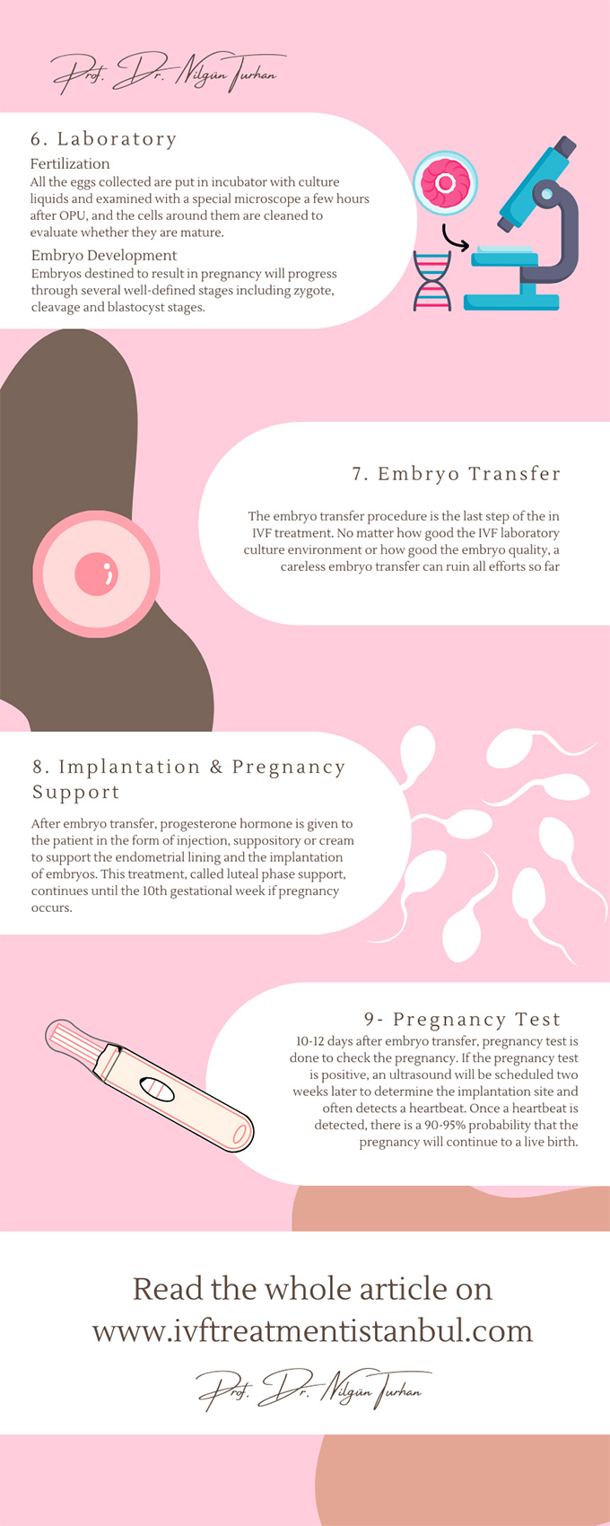 IVF Stages