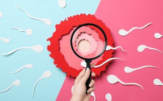 Fertility Testing