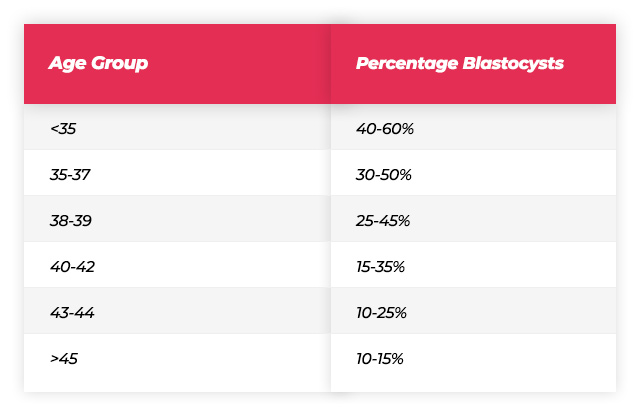 Percentage Blastocysts